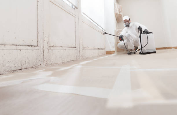 Trusted Mold Inspection service in Springfield, NJ - WQB Mold Removal