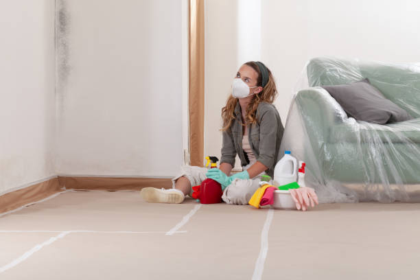 Reliable Mold Inspection contractor in Springfield, NJ by WQB Mold Removal